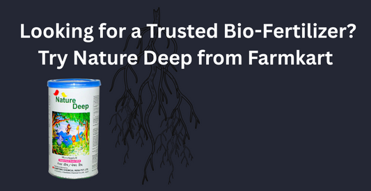 AMF Mycorrhiza Products for Crop Use- The Power of AMF Mycorrhiza in Modern Farming