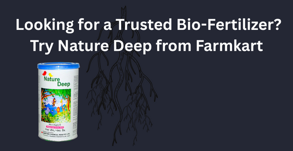 AMF Mycorrhiza Products for Crop Use- The Power of AMF Mycorrhiza in Modern Farming