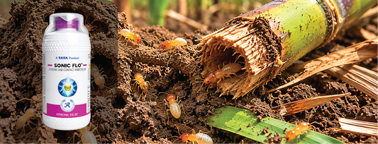 Fipronil 5% SC: Complete Guide to Uses, Dosage & Termite Control (2026)