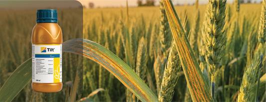 Tilt Fungicide (Propiconazole 25% EC): Complete Guide for Indian Farmers