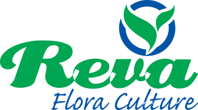 Reva Flora