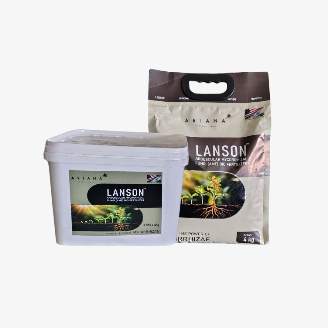 Lanson biofertilizer Arbuscular Mycorrhizal Fungi (AMF).