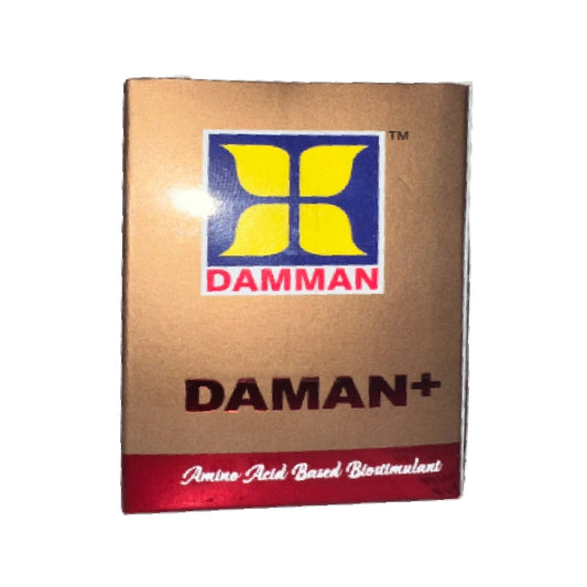 Damman plus