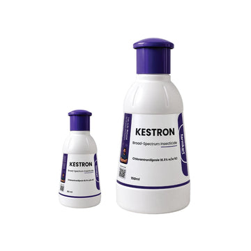 Kastron Insecticide (Chlorantraniliprole 18.5% SC)
