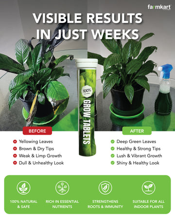 Grow Tablets - Humic Acid , Vitamins , Seaweed Extract