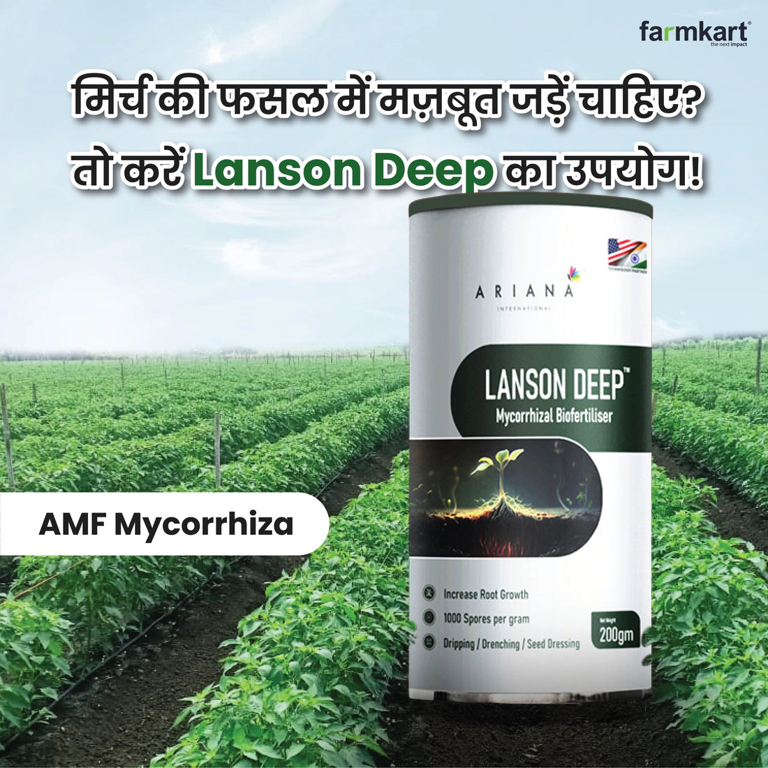 Lanson Deep AMF Mycorizza