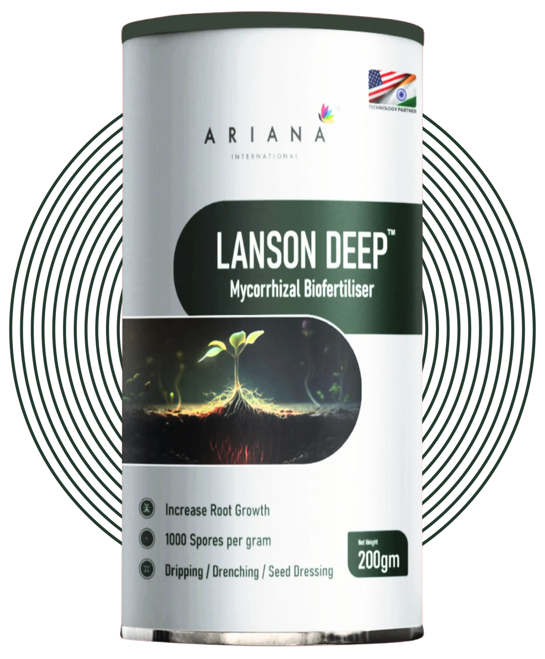 Lanson Deep with strock-01 (1).webp__PID:74c9f609-2794-43ca-a290-95029844e992