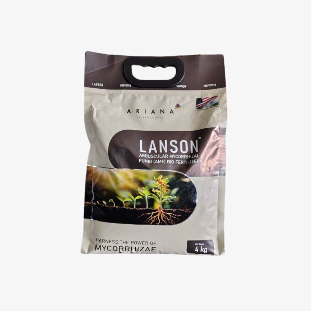 Lanson biofertilizer Arbuscular Mycorrhizal Fungi (AMF).