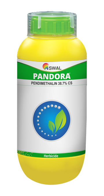 Pendora
