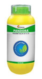 Pendora