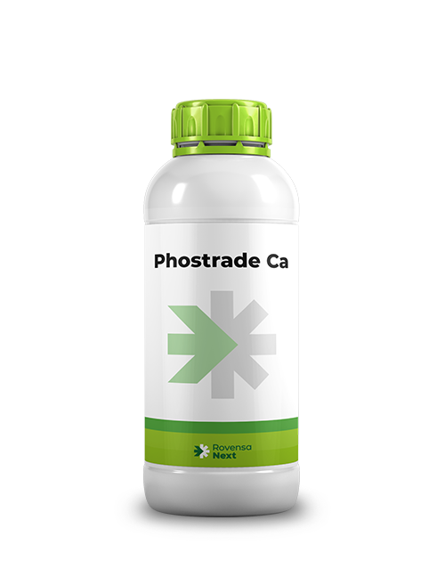 Rovensa Next Phostrade Ca – Phosphorus & Calcium Liquid Fertilizer for Fruit Quality, Strong Growth & Higher Yield