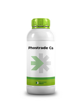 Rovensa Next Phostrade Ca – Phosphorus & Calcium Liquid Fertilizer for Fruit Quality, Strong Growth & Higher Yield
