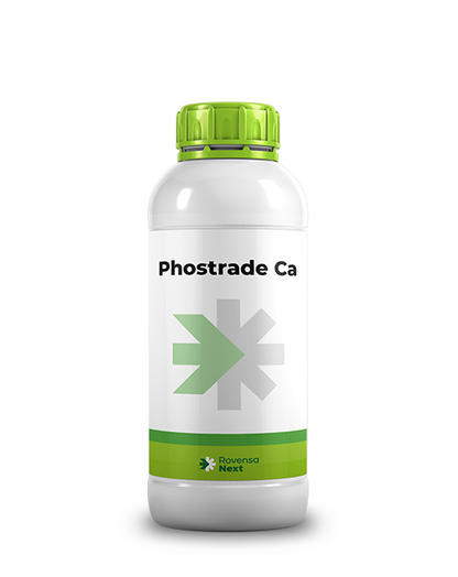 Rovensa Next Phostrade Ca – Phosphorus & Calcium Liquid Fertilizer for Fruit Quality, Strong Growth & Higher Yield