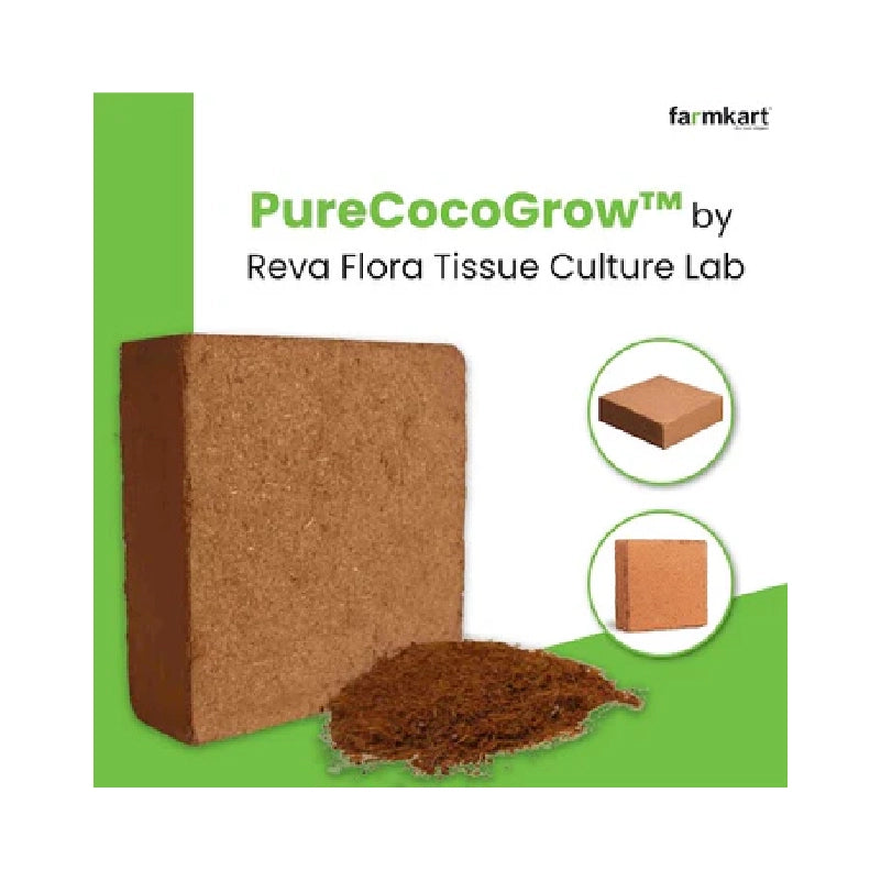 PureCocoGrow Cocopeat 5 Kg for Gardens by RevaFlora Lab