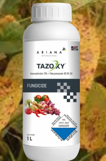 Tazoxy, Fungicide, Azoxystrobin 11% and Tebuconazole 18.3% SC