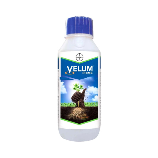 Bayer Velum Prime Nematicide