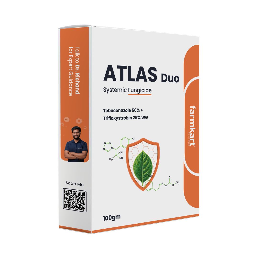 Atlas Duo Fungicide - Tebuconazole 50% + Trifloxystrobin 25% WG
