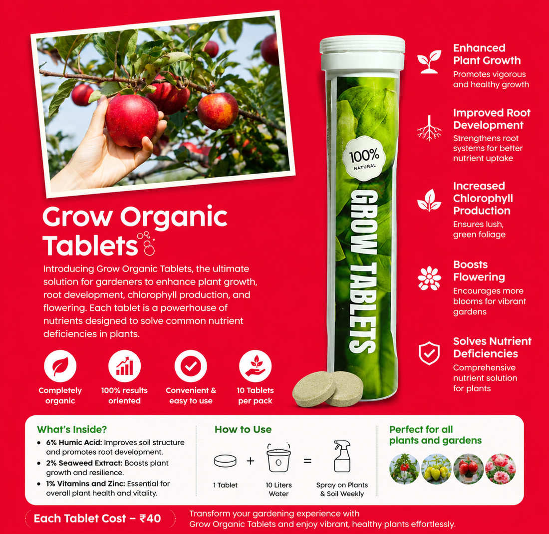 Grow Tablets - Nano Technology Based Humic Acid and Sea Weed Extract Combination for Complete Grdening Solution