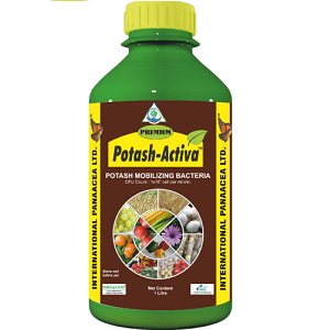 POTASH ACTIVA