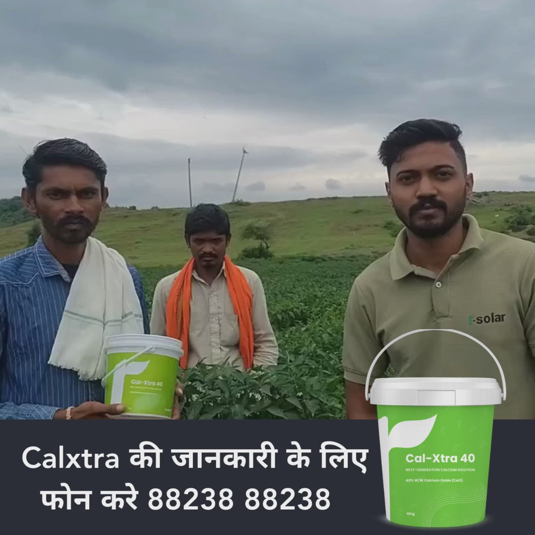 calxtra calcium oxcide result video