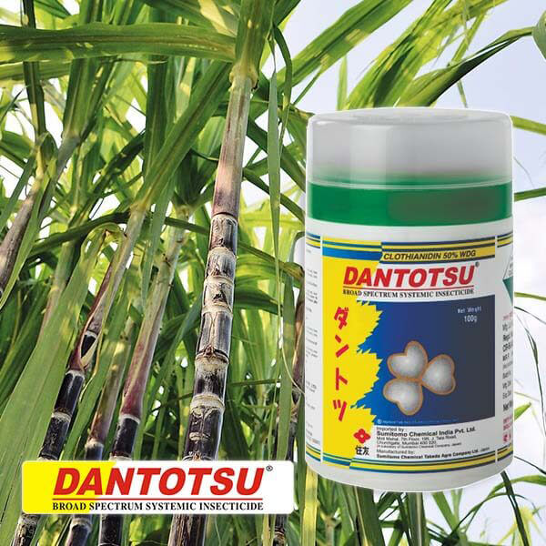 Buy Sumitomo Dantotsu Insecticide at affordable price – Farmkart